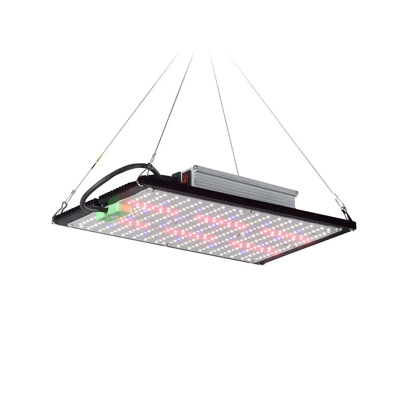 LED Quantum‑Board Grow Light F - огляд і ціна Indoor Plants