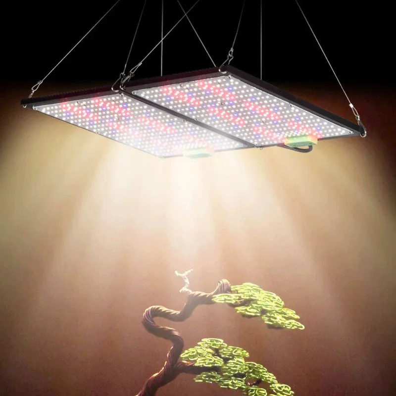 LED Quantum‑Board Grow Light F - огляд і ціна Indoor Plants