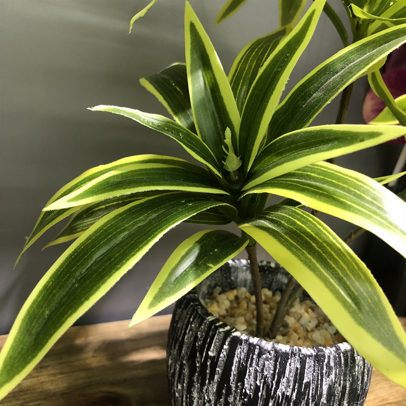 35CM 3 Fork Artificial Desktop - огляд і ціна Snake Plant