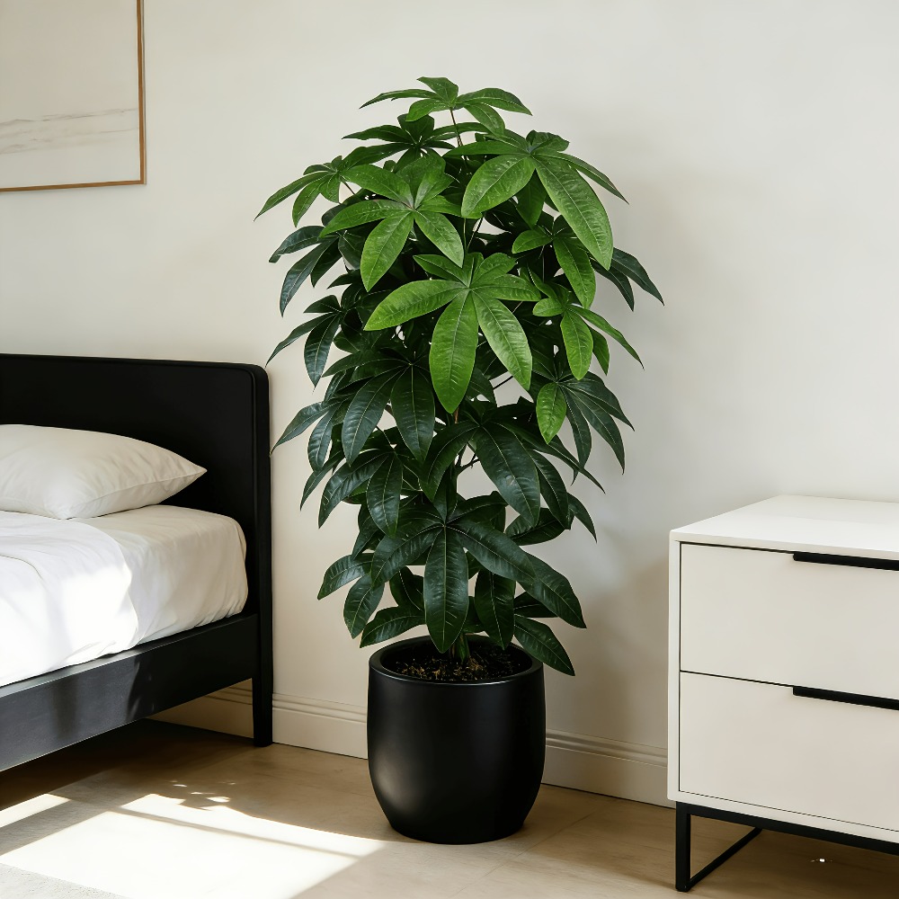 An Artificial Money Tree Pachi - огляд і ціна Fiddle Leaf Fig